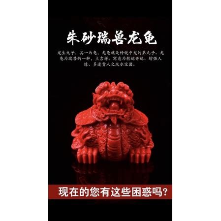 硃砂龍龜功效|【硃砂龍龜功效】擁有「硃砂龍龜功效」你的財運必飛！驅邪招財。